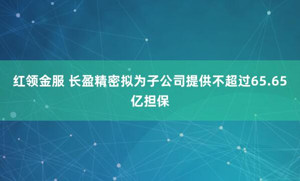 红领金服 长盈精密拟为子公司提供不超过65.65亿担保