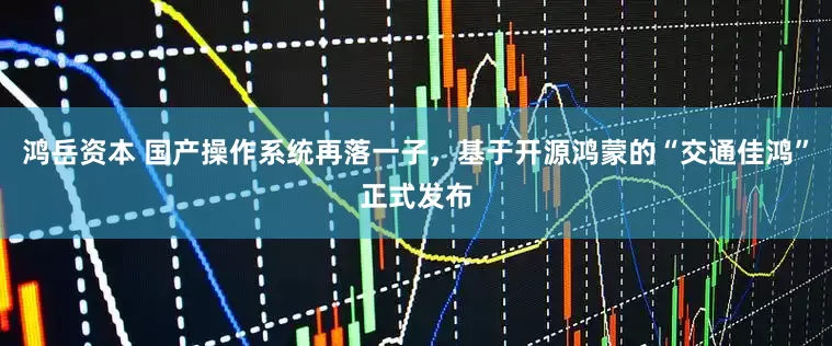 鸿岳资本 国产操作系统再落一子，基于开源鸿蒙的“交通佳鸿”正式发布