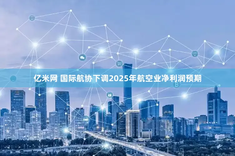 亿米网 国际航协下调2025年航空业净利润预期