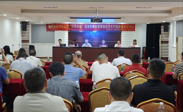 牛博 清远市“特早熟蜜柚新品种‘六月早柚’现场观摩会”成功举行