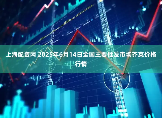 上海配资网 2025年6月14日全国主要批发市场芥菜价格行情